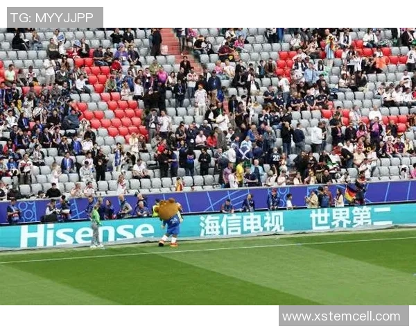 聚焦足球14号球星精彩表现 深度解析其赛场影响力与未来前景