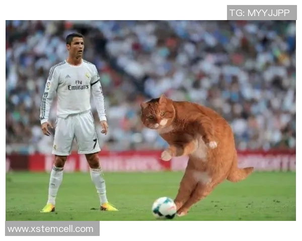 足球明星的宠物猫揭秘：这些球星们的猫咪都有哪些独特名字和故事